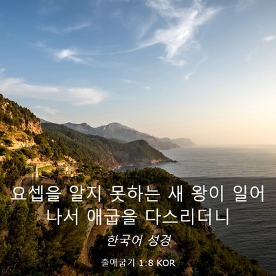 Picture 03 - 출애굽기 1:8 KOR - 요셉을 알지 못하는 새 왕이 - Bible Verse Picture