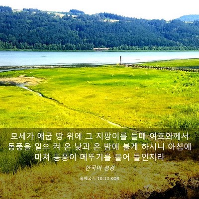 Picture 03 - 출애굽기 10:13 KOR - 모세가 애굽 땅 위에 그 지팡이를 - Bible Verse Picture