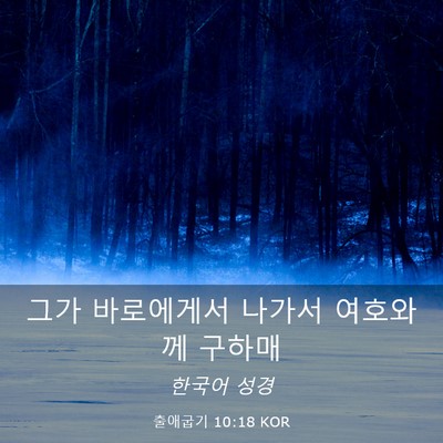 Picture 03 - 출애굽기 10:18 KOR - 그가 바로에게서 나가서 여호와께 - Bible Verse Picture