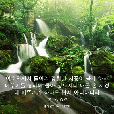 Picture 03 - 출애굽기 10:19 KOR - 여호와께서 돌이켜 강렬한 서풍이 - Bible Verse Picture