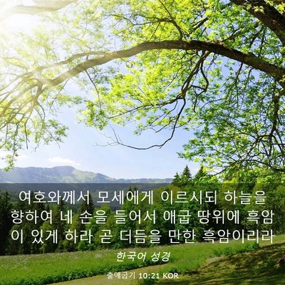Picture 03 - 출애굽기 10:21 KOR - 여호와께서 모세에게 이르시되 - Bible Verse Picture