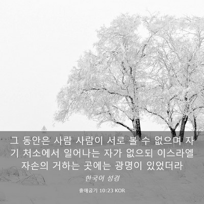 Picture 03 - 출애굽기 10:23 KOR - 그 동안은 사람 사람이 서로 볼 수 - Bible Verse Picture