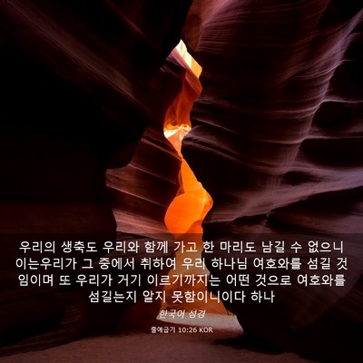 Picture 03 - 출애굽기 10:26 KOR - 우리의 생축도 우리와 함께 가고 한 - Bible Verse Picture