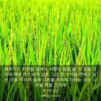 Picture 03 - 출애굽기 10:5 KOR - 메뚜기가 지면을 덮어서 사람이 땅을 - Bible Verse Picture