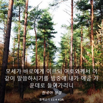 Picture 03 - 출애굽기 11:4 KOR - 모세가 바로에게 이르되 여호와께서 - Bible Verse Picture