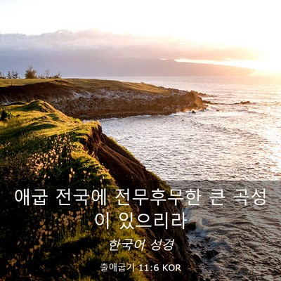 Picture 03 - 출애굽기 11:6 KOR - 애굽 전국에 전무후무한 큰 곡성이 - Bible Verse Picture