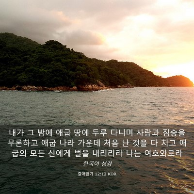 Picture 03 - 출애굽기 12:12 KOR - 내가 그 밤에 애굽 땅에 두루 다니며 - Bible Verse Picture