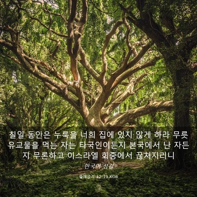 Picture 03 - 출애굽기 12:19 KOR - 칠일 동안은 누룩을 너희 집에 있지 - Bible Verse Picture