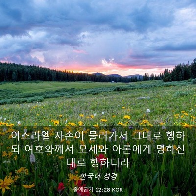 Picture 03 - 출애굽기 12:28 KOR - 이스라엘 자손이 물러가서 그대로 - Bible Verse Picture