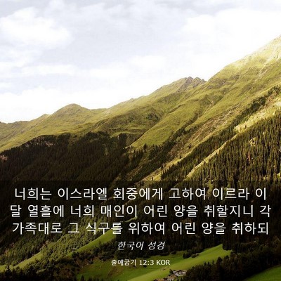 Picture 03 - 출애굽기 12:3 KOR - 너희는 이스라엘 회중에게 고하여 - Bible Verse Picture