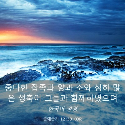 Picture 03 - 출애굽기 12:38 KOR - 중다한 잡족과 양과 소와 심히 많은 - Bible Verse Picture
