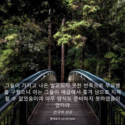 Picture 03 - 출애굽기 12:39 KOR - 그들이 가지고 나온 발교되지 못한 - Bible Verse Picture