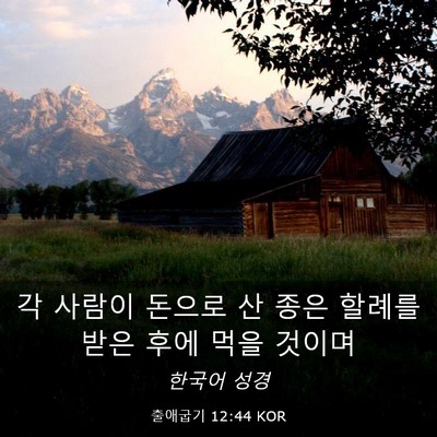 Picture 03 - 출애굽기 12:44 KOR - 각 사람이 돈으로 산 종은 할례를 - Bible Verse Picture