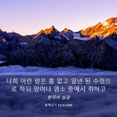 Picture 03 - 출애굽기 12:5 KOR - 너희 어린 양은 흠 없고 일년 된 - Bible Verse Picture