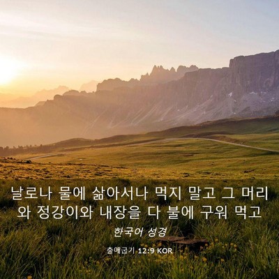 Picture 03 - 출애굽기 12:9 KOR - 날로나 물에 삶아서나 먹지 말고 그 - Bible Verse Picture