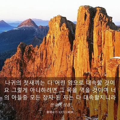 Picture 03 - 출애굽기 13:13 KOR - 나귀의 첫새끼는 다 어린 양으로 - Bible Verse Picture