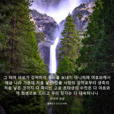 Picture 03 - 출애굽기 13:15 KOR - 그 때에 바로가 강퍅하여 우리를 - Bible Verse Picture