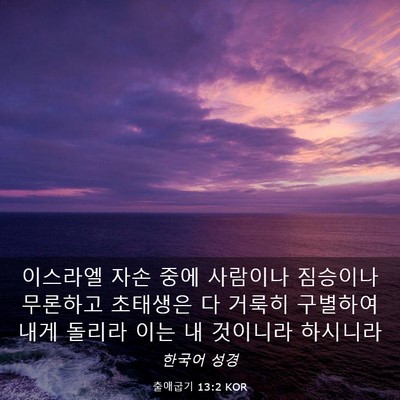 Picture 03 - 출애굽기 13:2 KOR - 이스라엘 자손 중에 사람이나 - Bible Verse Picture