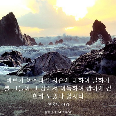 Picture 03 - 출애굽기 14:3 KOR - 바로가 이스라엘 자손에 대하여 - Bible Verse Picture