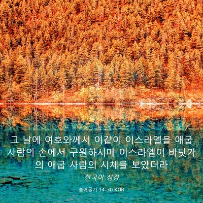 Picture 03 - 출애굽기 14:30 KOR - 그 날에 여호와께서 이같이 - Bible Verse Picture