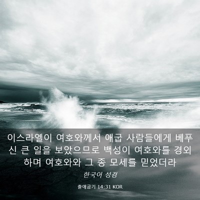 Picture 03 - 출애굽기 14:31 KOR - 이스라엘이 여호와께서 애굽 - Bible Verse Picture