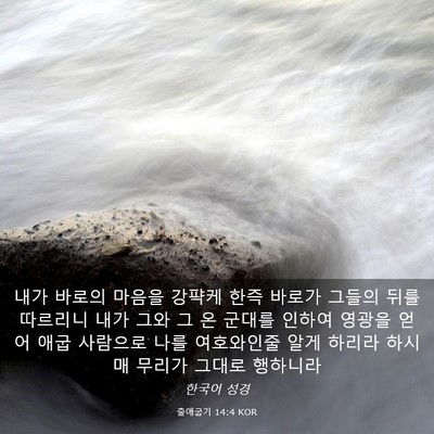 Picture 03 - 출애굽기 14:4 KOR - 내가 바로의 마음을 강퍅케 한즉 - Bible Verse Picture