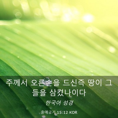 Picture 03 - 출애굽기 15:12 KOR - 주께서 오른손을 드신즉 땅이 그들을 - Bible Verse Picture