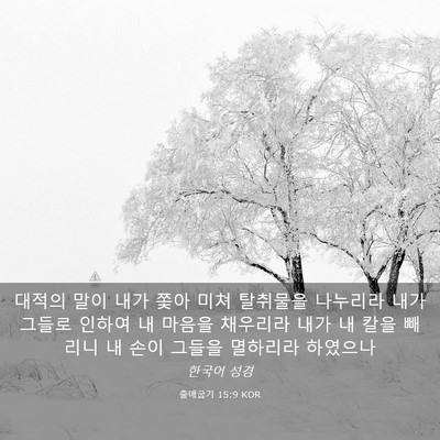 Picture 03 - 출애굽기 15:9 KOR - 대적의 말이 내가 쫓아 미쳐 - Bible Verse Picture