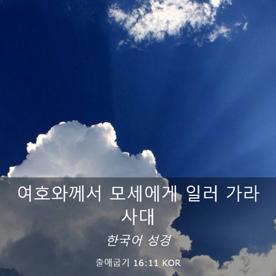 Picture 03 - 출애굽기 16:11 KOR - 여호와께서 모세에게 일러 - Bible Verse Picture