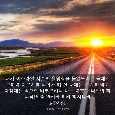 Picture 03 - 출애굽기 16:12 KOR - 내가 이스라엘 자손의 원망함을 - Bible Verse Picture