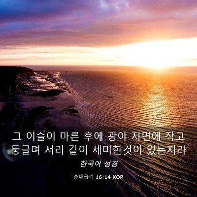 Picture 03 - 출애굽기 16:14 KOR - 그 이슬이 마른 후에 광야 지면에 - Bible Verse Picture