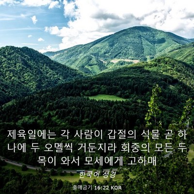 Picture 03 - 출애굽기 16:22 KOR - 제육일에는 각 사람이 갑절의 식물 - Bible Verse Picture