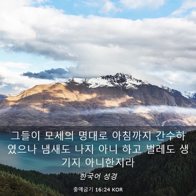 Picture 03 - 출애굽기 16:24 KOR - 그들이 모세의 명대로 아침까지 - Bible Verse Picture