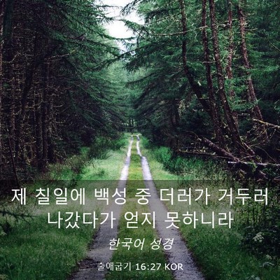 Picture 03 - 출애굽기 16:27 KOR - 제 칠일에 백성 중 더러가 거두러 - Bible Verse Picture