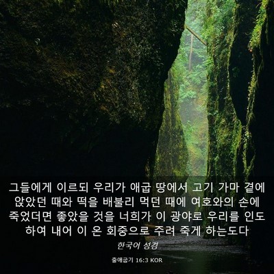 Picture 03 - 출애굽기 16:3 KOR - 그들에게 이르되 우리가 애굽 땅에서 - Bible Verse Picture