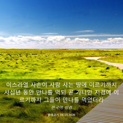 Picture 03 - 출애굽기 16:35 KOR - 이스라엘 자손이 사람 사는 땅에 - Bible Verse Picture
