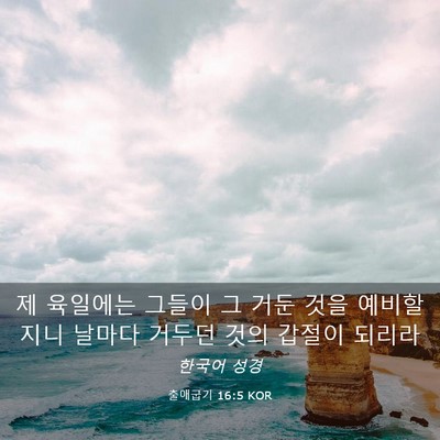 Picture 03 - 출애굽기 16:5 KOR - 제 육일에는 그들이 그 거둔 것을 - Bible Verse Picture