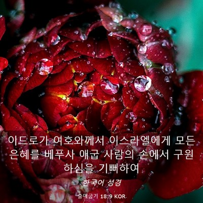 Picture 03 - 출애굽기 18:9 KOR - 이드로가 여호와께서 이스라엘에게 - Bible Verse Picture