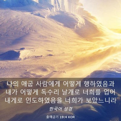 Picture 03 - 출애굽기 19:4 KOR - 나의 애굽 사람에게 어떻게 - Bible Verse Picture