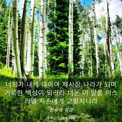 Picture 03 - 출애굽기 19:6 KOR - 너희가 내게 대하여 제사장 나라가 - Bible Verse Picture