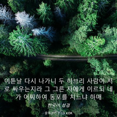Picture 03 - 출애굽기 2:13 KOR - 이튿날 다시 나가니 두 히브리 - Bible Verse Picture