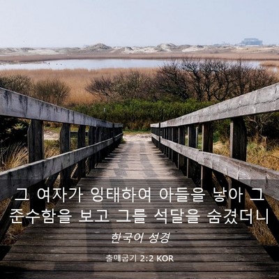 Picture 03 - 출애굽기 2:2 KOR - 그 여자가 잉태하여 아들을 낳아 그 - Bible Verse Picture