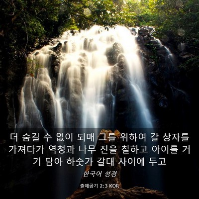 Picture 03 - 출애굽기 2:3 KOR - 더 숨길 수 없이 되매 그를 위하여 갈 - Bible Verse Picture
