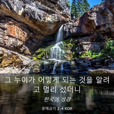 Picture 03 - 출애굽기 2:4 KOR - 그 누이가 어떻게 되는 것을 알려고 - Bible Verse Picture