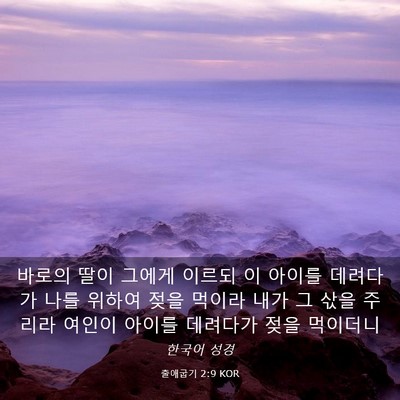 Picture 03 - 출애굽기 2:9 KOR - 바로의 딸이 그에게 이르되 이 - Bible Verse Picture