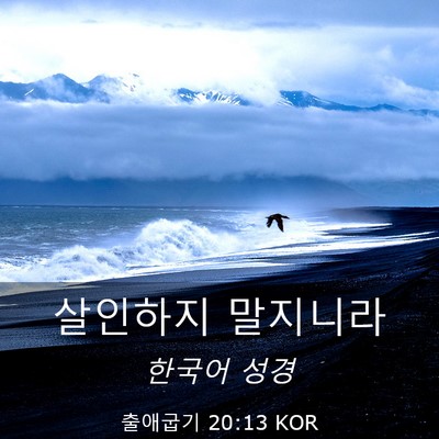 Picture 03 - 출애굽기 20:13 KOR - 살인하지 - Bible Verse Picture