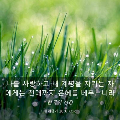 Picture 03 - 출애굽기 20:6 KOR - 나를 사랑하고 내 계명을 지키는 - Bible Verse Picture