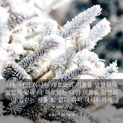 Picture 03 - 출애굽기 20:7 KOR - 너는 너의 하나님 여호와의 이름을 - Bible Verse Picture