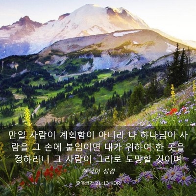 Picture 03 - 출애굽기 21:13 KOR - 만일 사람이 계획함이 아니라 나 - Bible Verse Picture