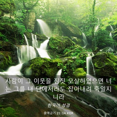 Picture 03 - 출애굽기 21:14 KOR - 사람이 그 이웃을 짐짓 모살하였으면 - Bible Verse Picture